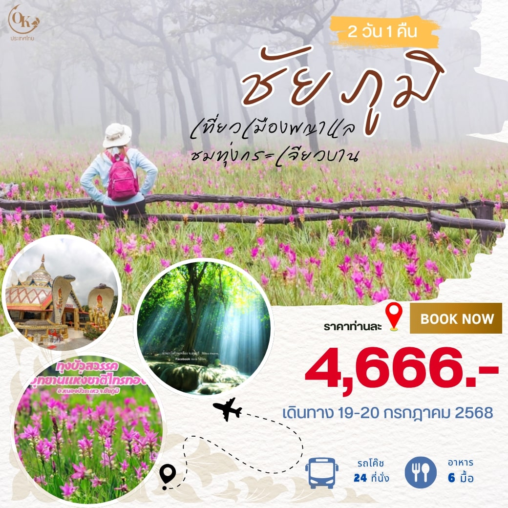  ทุ่งกระเจียวไทรทอง ชัยภูมิ