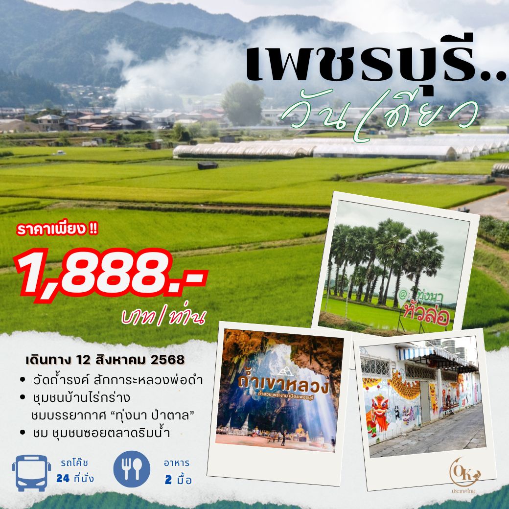 DayTrip ทุ่งนา ป่าตาล เพชรบุรี
